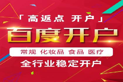 SEM广告投放的竞价策略与效果评估案例